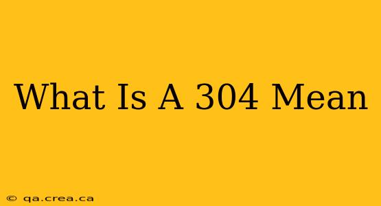 What Is A 304 Mean