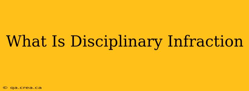 What Is Disciplinary Infraction