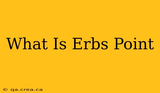 What Is Erbs Point