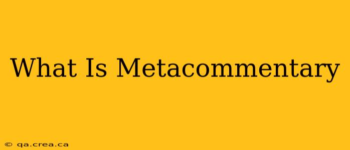 What Is Metacommentary