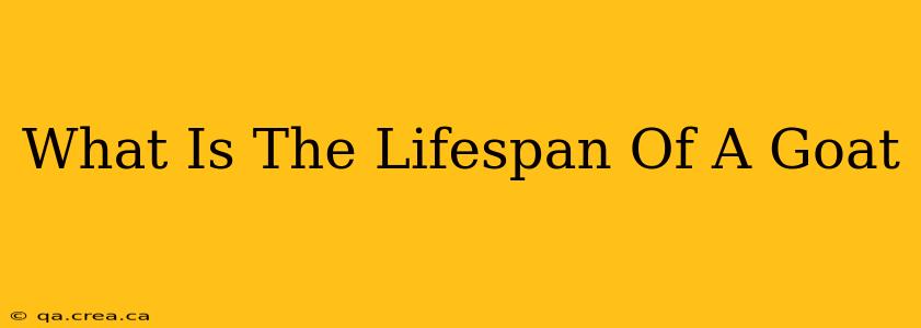 What Is The Lifespan Of A Goat