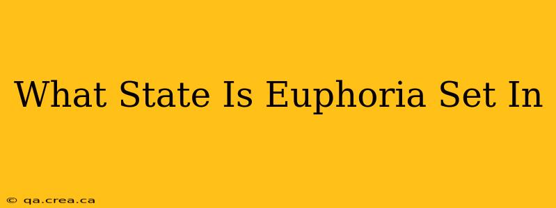 What State Is Euphoria Set In