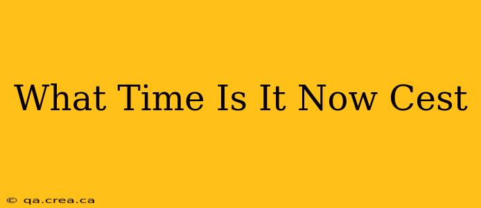What Time Is It Now Cest