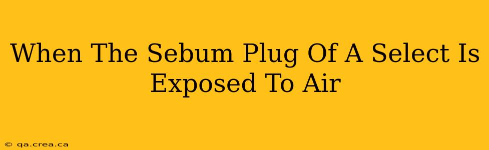 When The Sebum Plug Of A Select Is Exposed To Air